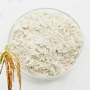 Poudre de protéines de riz crue biologique de qualité alimentaire en vrac - Product Image 3