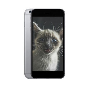 topnotch 电话6 64 gb享有独家折扣-阿里巴巴