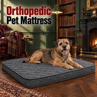 Tapis pour animaux de compagnie portable, économique, imperméable, antidérapant, durable, coussin d'intérieur pour animaux, lit pour chien