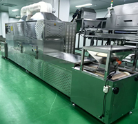 Stérilisateur alimentaire automatique à tunnel à bande transporteuse, machine de séchage par micro-ondes pour larves de mouches soldats noires, sécheuse à micro-ondes pour larves BSF