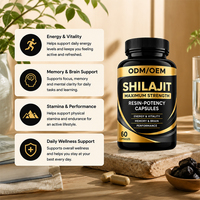 Capsules de Shilajit de l'Himalaya, antioxydant, pour la concentration mentale et le bien-être, fabrication en marque blanche, commande en gros