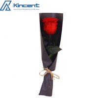 Cadeaux de Noël 2024 Bouquet de roses éternelles Rose préservée avec tige