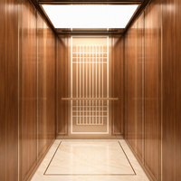 Ascenseur de villa en or rose et bois, motif géométrique en relief, plafond LED, sol en marbre crème, MRL silencieux, 3 personnes