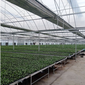 Trung Quốc Nhà Máy Cung Cấp Tùy Chỉnh Kích Thước 1/2 3/4 1 "2" 1.5 "Inch Gi Ống Hàn Nhúng Nóng Mạ Kẽm Ống Thép Cho Nhà Kính Khung - Product Image 6