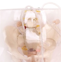 Modèle de formation médicale avancé DARHMMY pour le curetage transparent, destiné à la formation en obstétrique et gynécologie