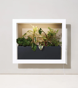 Boîte de <span class=keywords><strong>Jardinière</strong></span> de Plantes d'Intérieur Smart Home de Style Chaud Vente en Gros - Product Image 3