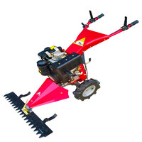 Tondeuse à gazon à essence robuste, coupe-herbe professionnel, machine de coupe pour jardin, fabricant direct d'usine, meilleur prix