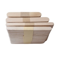 Bâtonnets de crème glacée en bois de bouleau jetables en gros avec logo personnalisé