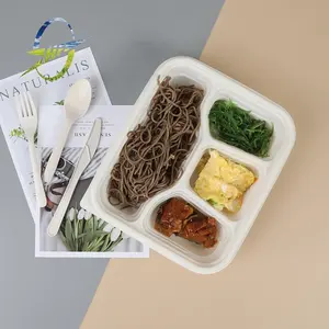 Bento Lunch Box Leakproof with Lids