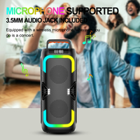 Système de sonorisation extérieur double 4 pouces 30W pour karaoké 5.4 avec lumières LED RGB, micro intégré, caisson de basses Party Box 3000-5000mAh