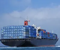Professional Sea Freight Shipping Agent, China