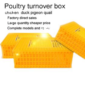 Jaula de plástico para transporte de pollos, jaula para palomas, pollos de engorde, jaula para transporte de aves vivas - Product Image 5