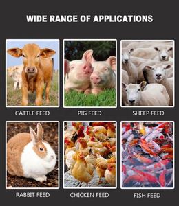 Máquinas de procesamiento de alimentos, máquinas de pellets para alimento animal, aves de corral, 150 kg por hora, máquina granuladora, máquina de pellets para animales - Product Image 4