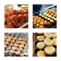 Mini machine à rôtir et à frire les œufs de caille, machine à takoyaki au gaz, poêle à frire les œufs