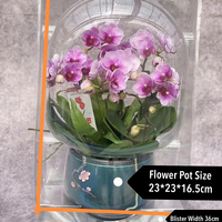 Pot de fleur en plastique à faible quantité minimale de commande semis plantes vivantes bonsaï à clapet emballage sous blister ou boîte de transport