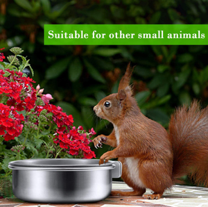 Thép không gỉ chim ăn món ăn ly chim trung chuyển kim loại thực phẩm nước Bát Pet lồng ly chủ cho chim - Product Image 6