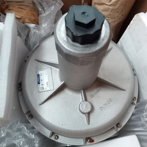 Válvula Reductora de Presión de Gas Original DUNGS FRS5100, Regulador de Quemador de Aleación de Zinc - Product Image 4