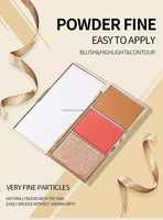 Cosmétiques 3 en 1 fard à paupières, Palette de maquillage, éclaircissant pour le visage, contour, surligneur, Palette de poudre