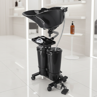 Bac à Shampooing Portable en Plastique avec Unité de Lave-Tête et Plateau, Évier de Salon Mobile à Hauteur Réglable pour Utilisation à Domicile et en Salon
