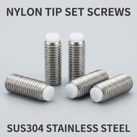 Vis à six pans creux métriques en acier inoxydable 304 avec embout en nylon POM M3-M12 pour fixation sans rayures