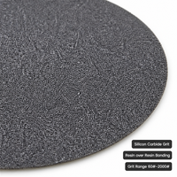 Disques abrasifs REX en carbure de silicium à crochets et boucles, 1 mm, dureté moyenne, noirs, accessoires pour meuleuses électriques - Formes multiples