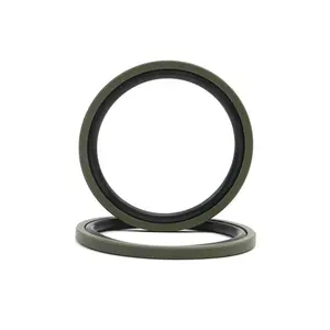 BSF SPGO OMK-MR 60x49x4 Piston Compact Seals PTFE Glyd Ring