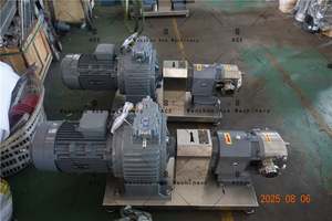 Ace HONEMIX Sanitary Stainless Steel Cam Rotor Pump Lobe Rotary Pump Food Grade High Viscosity Transfer Pump - Product Image 3