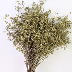 E-3040 Toptan doğal bitki kuru <span class=keywords><strong>eucalyptus</strong></span> berry kurutulmuş Okaliptüs yaprakları buket - Product Image 3