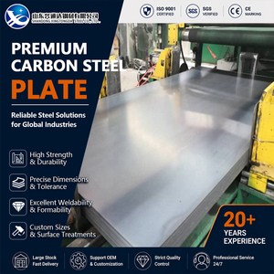 Q345B S355JR Shot Blasted Normalized 50mm 1219mm Plasma Cutting EN 10025 Carbon Steel Plate for Construction - Product Image 1