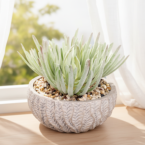 Vaso in Cemento per Piante Grasse dal Design Popolare Oh Arts, Fioriera Artificiale in Cemento per Decorare il Giardino - Product Image 6