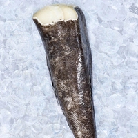 Pescado Congelado Entero de Bacalao del Atlántico/Pacífico, Captura Salvaje, Congelación IQF, Cortado en Rodajas, Envasado al Vacío, Alto Valor Nutricional, Carne de Pescado Blanco