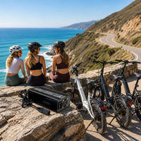 Chargeur de batterie LifePO4 360W fourni par l'usine ODM pour voiturette de golf électrique/moto électrique/vélo électrique/robot
