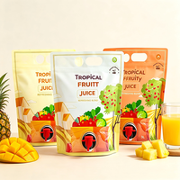 Fruitdrank drankenstandaard met uitgiettuit 3L 5L 10L Voedselveilige flexibele vloeistofverpakking voor sinaasappelsap OEM leverancier