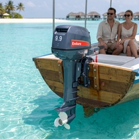 Moteur hors-bord pour bateau de pêche, 2 temps, arbre court/long, 9,9 CV, 15 CV, 25 CV, fabriqué en Chine, vente chaude