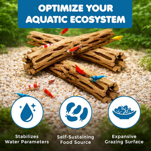 Bûches d'escalade en bois de Cholla, jouet à mâcher pour poissons d'aquarium, escargots, crevettes, bois flottant, décoration pour poissons tropicaux d'eau douce, fournitures écologiques pour animaux de compagnie - Product Image 3