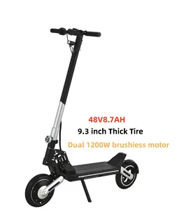 Patinete eléctrico plegable para adulto, scooter con motor de superpotencia, alta calidad, 500 W, 48 V, 8,7 AH, novedad de 2023