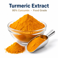 Extrait de curcuma en poudre à 95 % de curcumine, produit très demandé