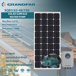 ปั๊มน้ำพลังงานแสงอาทิตย์ Grandfar SQB 1 แรงม้า 750 วัตต์ สำหรับใช้ในครัวเรือน 48V สำหรับการเกษตรและการชลประทาน SQB3/65-48/750 คุณภาพสูง - Product Image 1