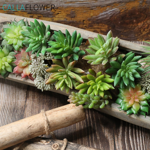 Modalità di Succulente artificiale <span class=keywords><strong>Mini</strong></span> semi di Loto <span class=keywords><strong>Piante</strong></span> Succulente/Succulente Planter - Product Image 2