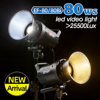 JINBEI Kit d'éclairage vidéo à LED portable EF-80Bi bicolore 2700K-6500K AC/DC avec boîte rapide portable prise de vue en extérieur