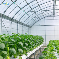 Grande serre multi-chapelles en polycarbonate pour l'agriculture, avec structure galvanisée à chaud et couverture en plaques PC, dotée d'un système d'ombrage externe