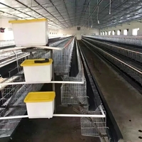 Cage à poulets commerciale, équipement d'élevage avicole en batterie pour poules pondeuses, poulailler pour 96 à 500 poulets