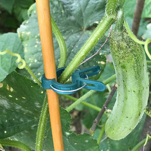 40 PCS Pinces pour plantes Outil de jardinage pour tomates <span class=keywords><strong>Cage</strong></span> Clips pour tomates Clips de support pour plantes grimpantes en <span class=keywords><strong>bambou</strong></span> - Product Image 3