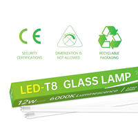 Lámpara LED T8 con Sensor de Radar, Tubo de Vidrio, 12W, 1200mm, 6000K, Sensor de Movimiento por Microondas, Reemplazo de Lámpara Fluorescente para Oficina y Garaje