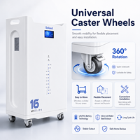 Batterie de stockage LiFePO4 solaire hybride empilable pour extérieur 16 kWh 51,2 V 314 Ah intelligente CAN/WIFI sans entretien et fiable