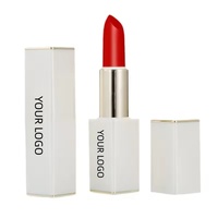 Gloss à lèvres mat cosmétique OEM/ODM avec vitamine C, imperméable, 5g, couleurs personnalisées, marque privée