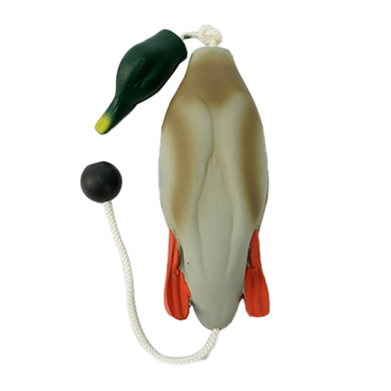 pato 1