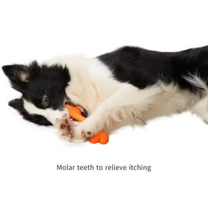 Juguetes Masticables de Silicona Ecológicos y No Tóxicos para la Limpieza de Dientes de Perros, Diseño de Hueso de Dibujos Animados, Entrenamiento Interactivo, Venta al Por Mayor - Product Image 2