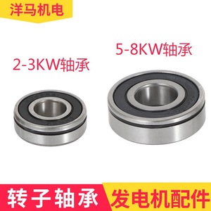 <b>Generator</b> Rotor Bearings 6202RS 6204RS Steel For Alternator Parts - Product Image 3