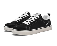 Chaussures décontractées légères et respirantes en toile pour homme, basses, à lacets, style skate, antidérapantes, plates, pour le quotidien et l'extérieur